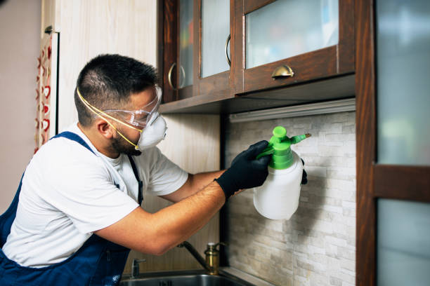 Best Pest Prevention Services  in Youngstown, OH